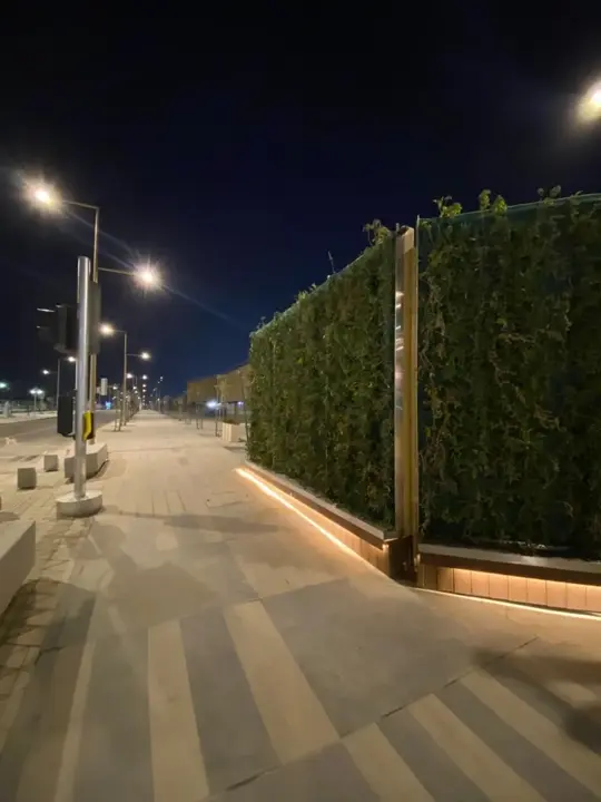 Sports Boulevard Foundation (SBF) – Green Wall Promenade image 7